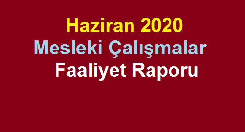 Haziran 2020 Mesleki Çalışmalar Faaliyet Raporu