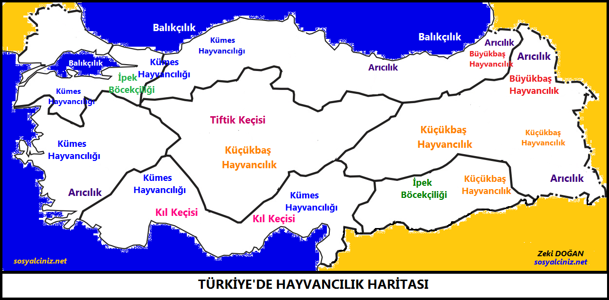 Ülkemizde Hayvancılık Haritası