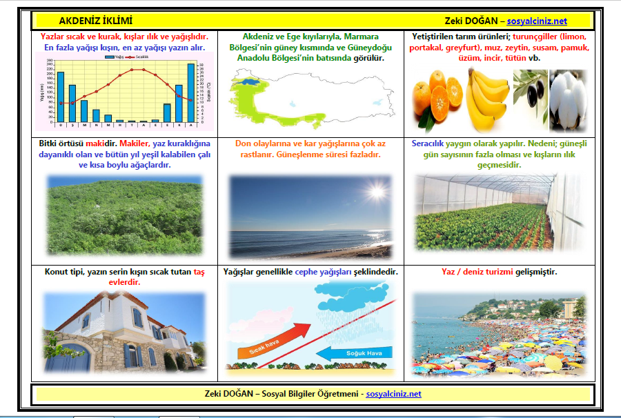 Sosyal Bilgiler 5 Akdeniz İkliminin Özellikleri