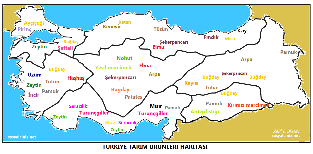 Türkiye Tarım Ürünleri Haritası