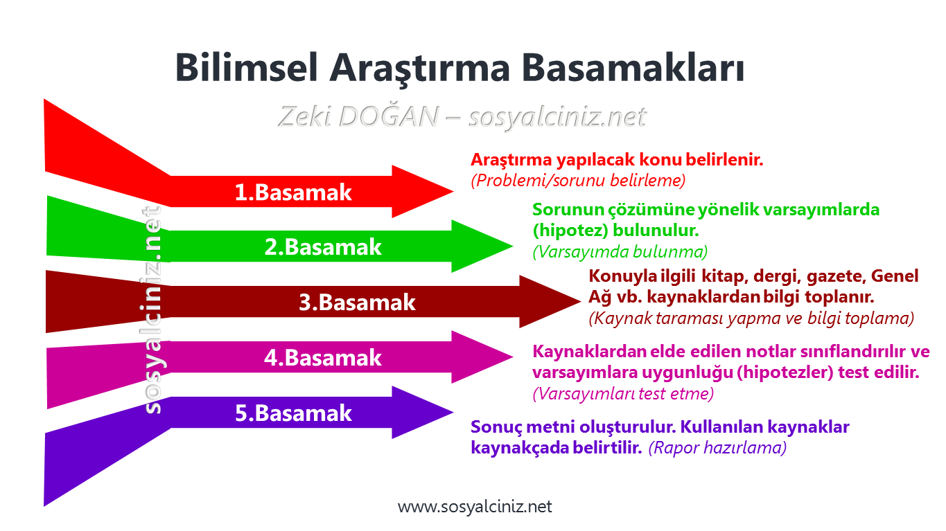 Bilimsel Araştırma Basamakları