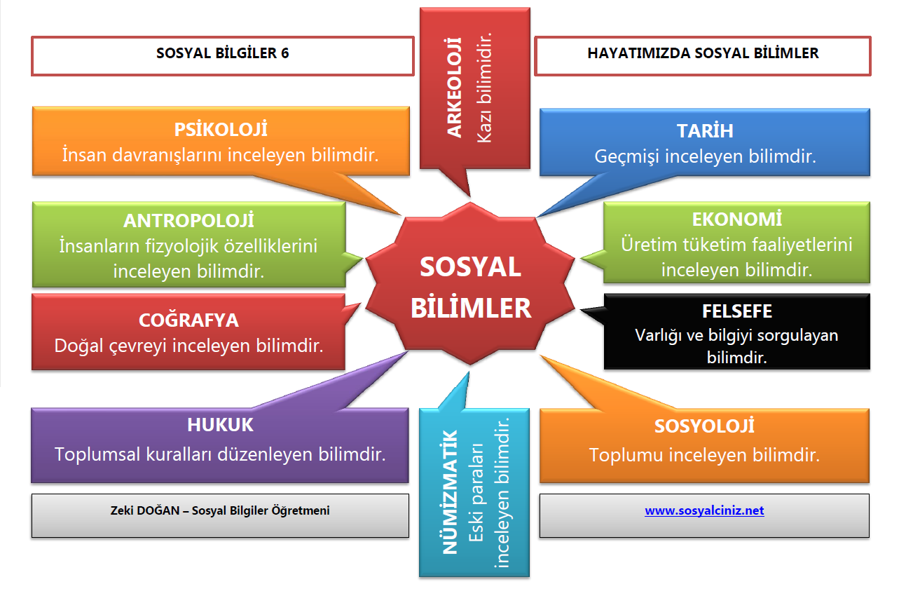 Sosyal Bilim Dalları