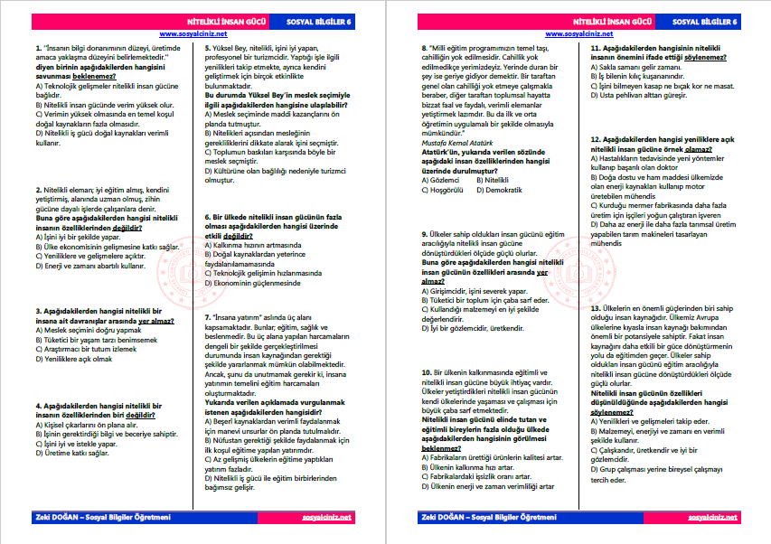 Nitelikli İnsan Gücü Test