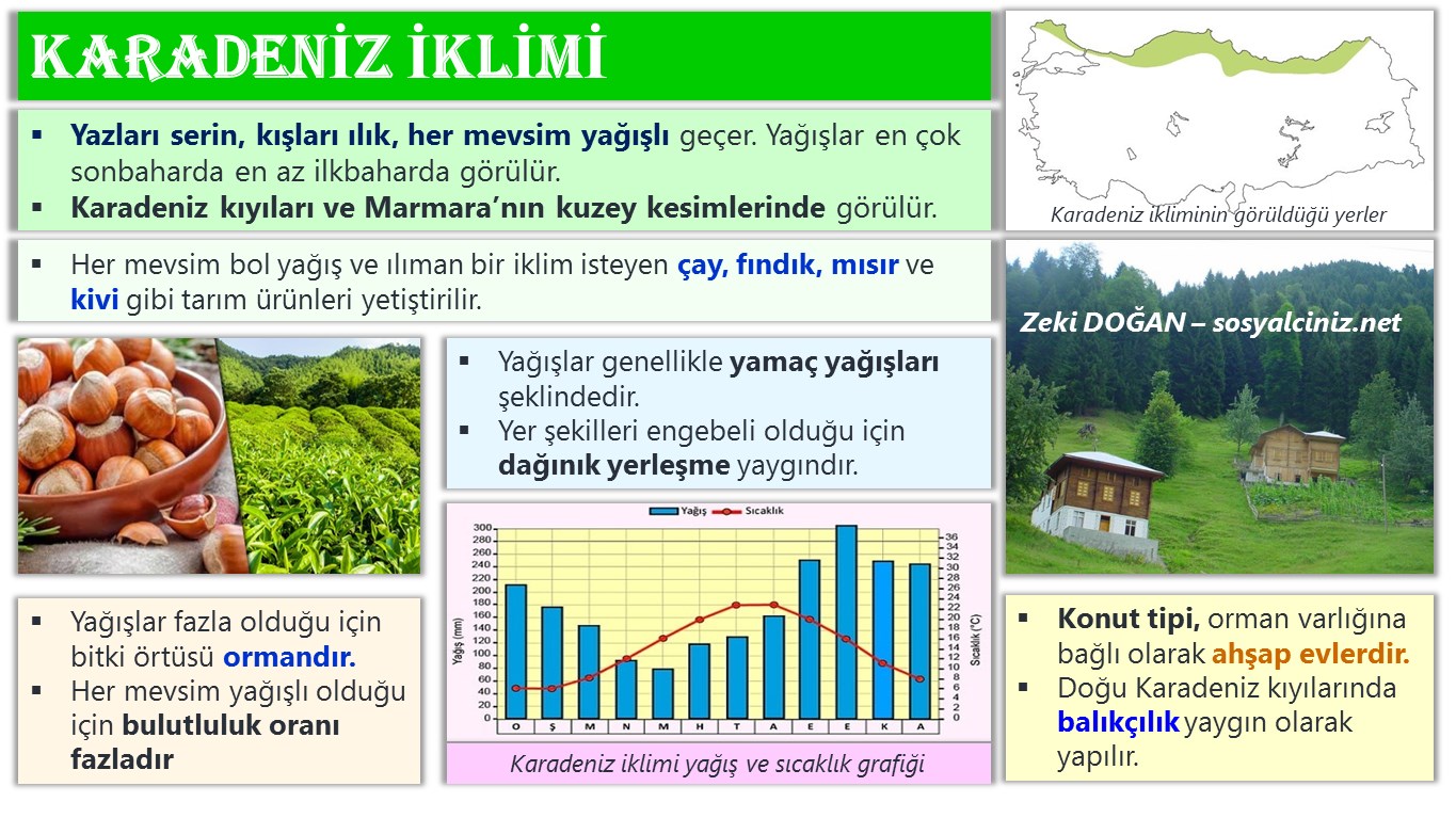 Karadeniz İklimi