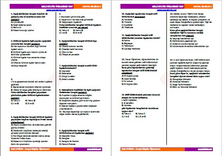 Milli Kültür Öğelerimiz Test
