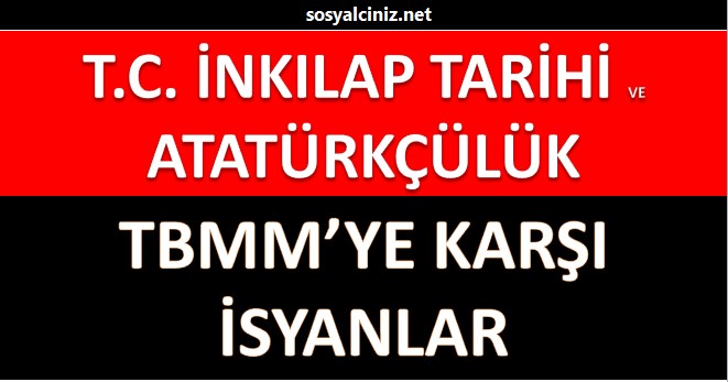 TBMM’ye Karşı Ayaklanmalar Sunu