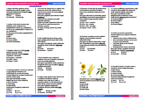 Yaşadığım Yerdeki Ekonomik Faaliyetler Test