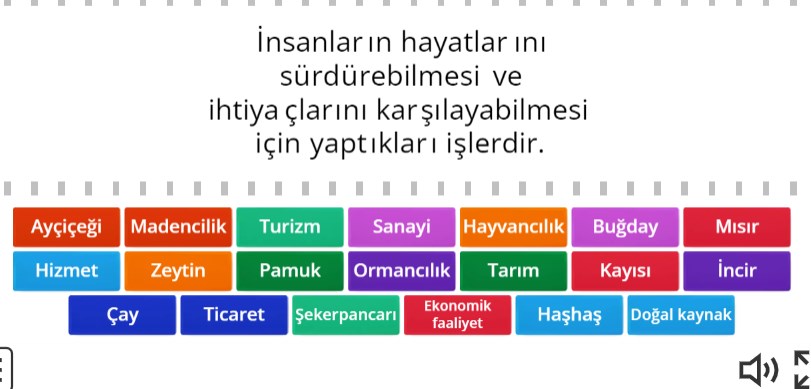 Ülkemizin Kaynakları ve Ekonomik Faaliyetleri Online Eşleştirme