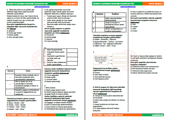 Ailemde ve Çevremde Ekonomik Faaliyetler Test