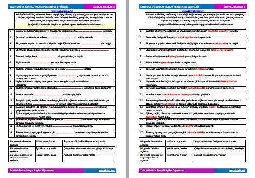 Ekonomi ve Sosyal Yaşam Pekiştirme Etkinliği