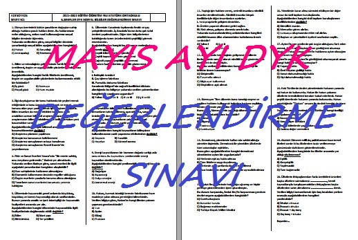 Sosyal Bilgiler 6-7 Mayıs Ayı DYK Değerlendirme Sınavı