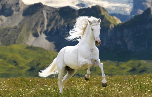 Acele karar vermeyin