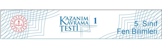 2022-2023 5. Sınıf Fen Bilimleri Kazanım Testleri