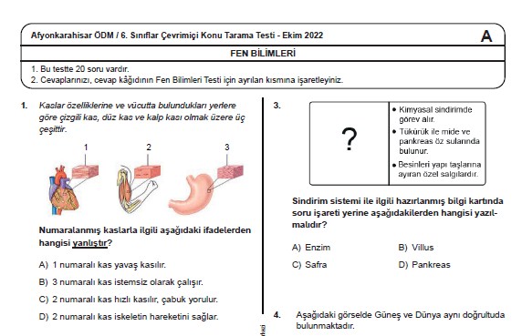 Afyon İl MEM 6. Sınıf Fen Bilimleri Konu Tarama Testi