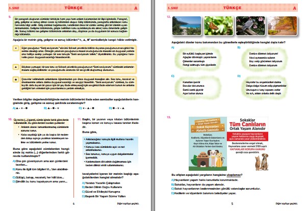 Sivas MEM 5. Sınıf Tüm Dersler İzleme Sınavı