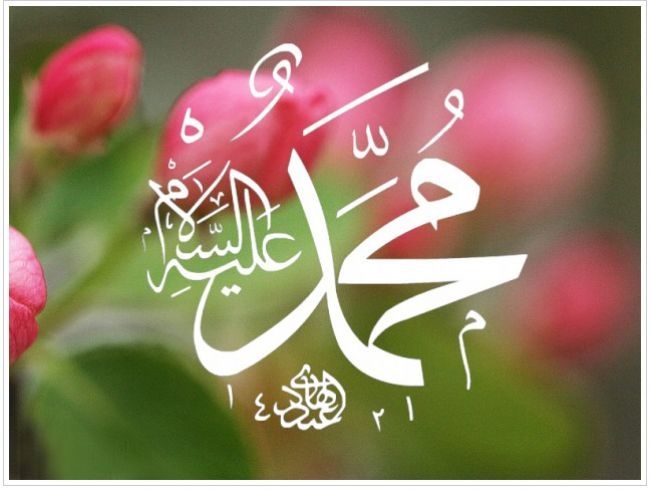 Dünya Sen’i Arıyor