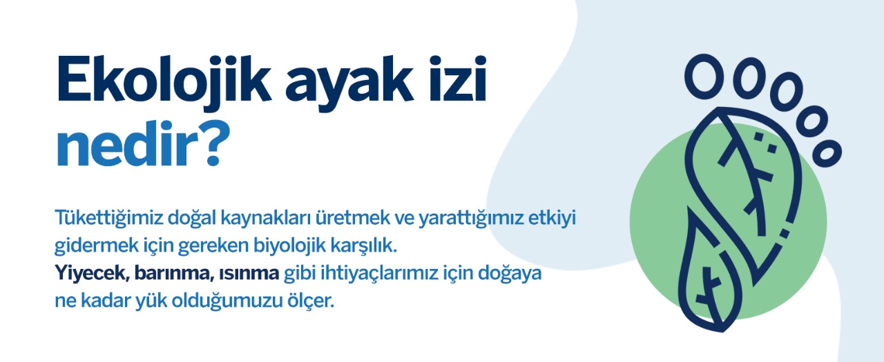 Ekolojik Ayak İzi Nedir, Nasıl Hesaplanır, Nasıl Azaltılır?