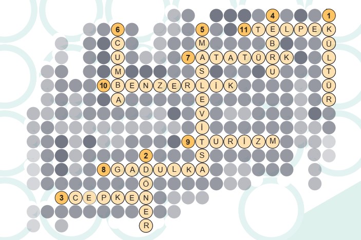 1. Öğrenme Alanı Sayfa 30 Bulmaca Cevapları