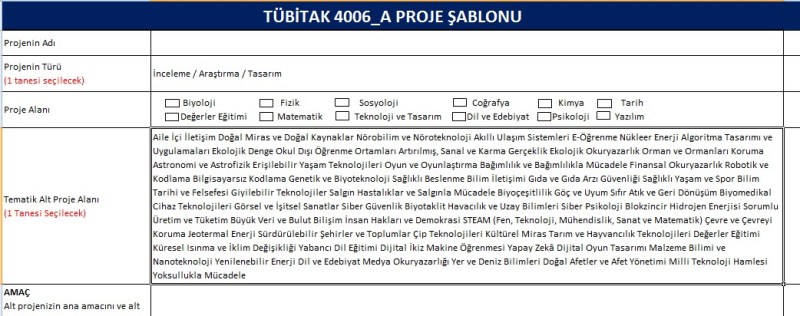 TÜBİTAK 4006 Proje Şablonu 2024