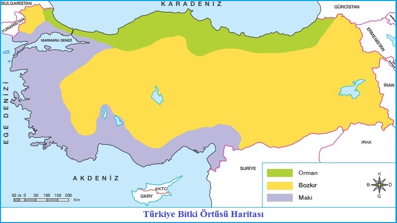 Türkiye Bitki Örtüsü Haritası