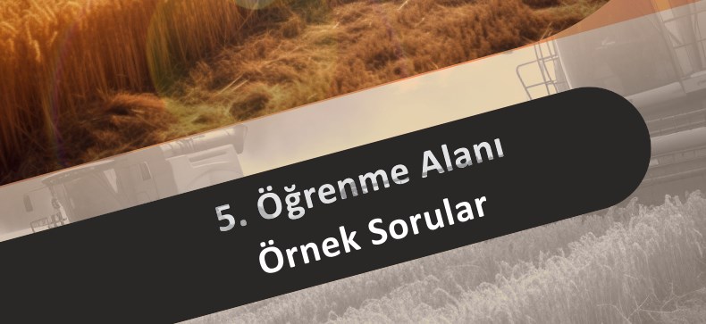 5.Öğrenme Alanı Hayatımızdaki Ekonomi EBA Örnek Sorular