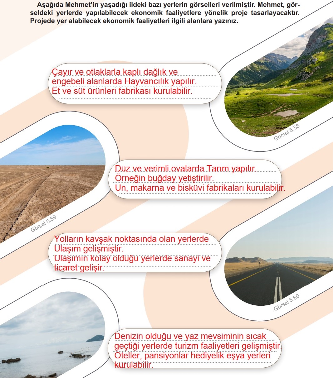 Ders Kitabı Ekonomik Faaliyet Proje Etkinliği Sayfa 111