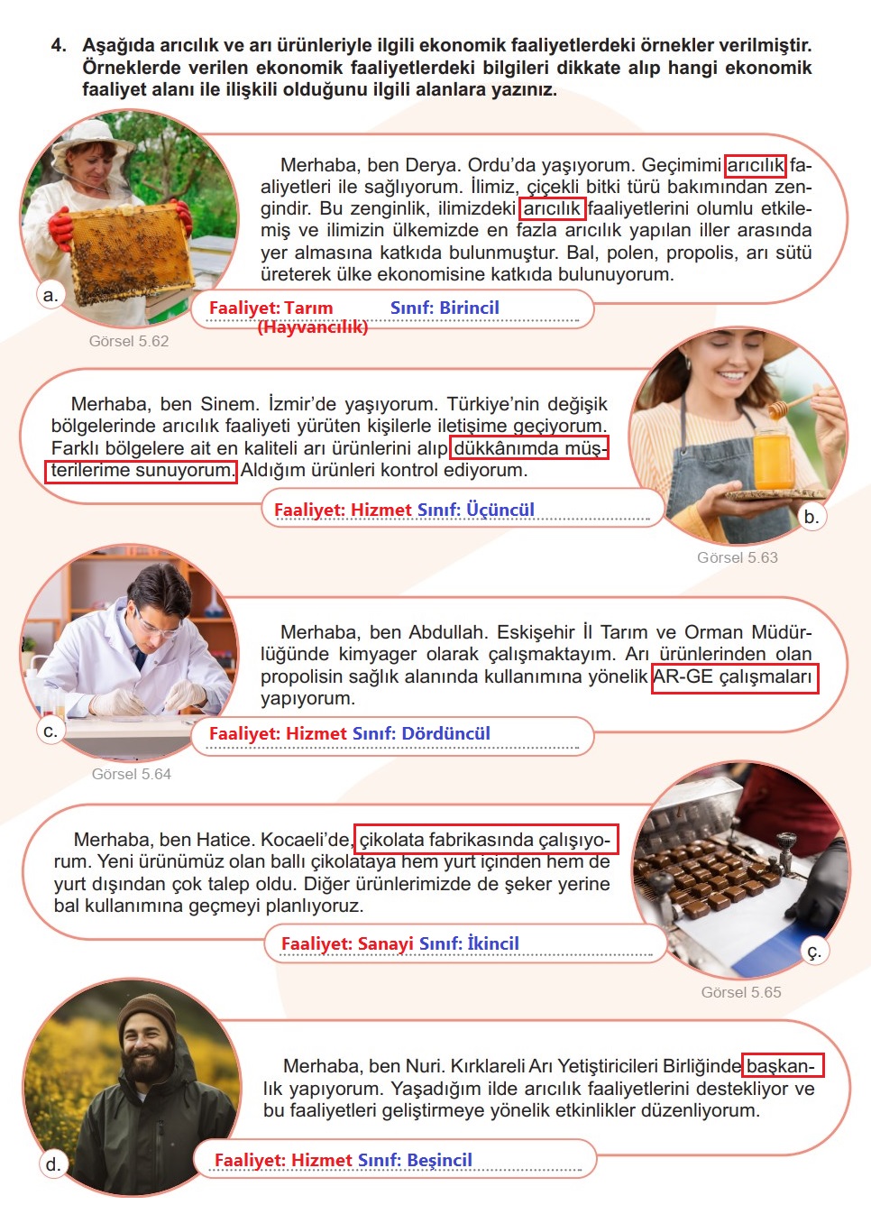 Ekonomik Faaliyet-Faaliyet Alanı Etkinliği Sayfa 115