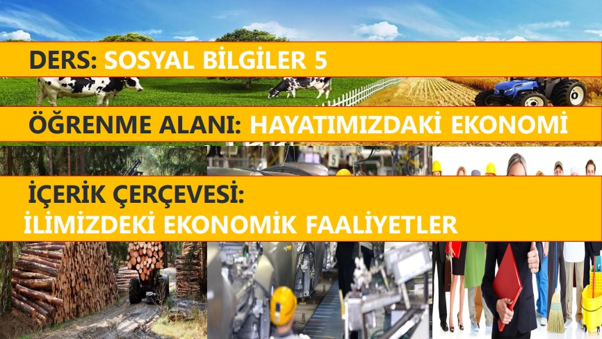 İlimizdeki Ekonomik Faaliyetler Sunu