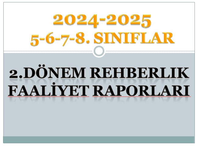 2024-2025 5-6-7-8. Sınıflar II. Dönem Rehberlik Faaliyet Raporu
