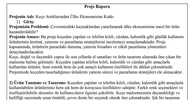 6.Sınıf Sosyal Bilgiler Proje Raporu Sayfa 81