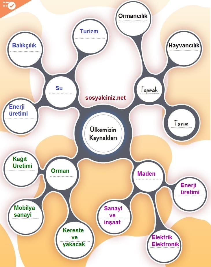 6.Sınıf Sosyal Bilgiler Değerlendirelim Etkinliği Sayfa 63
