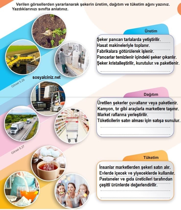 6.Sınıf Sosyal Bilgiler Düşünelim Etkinliği Sayfa 74