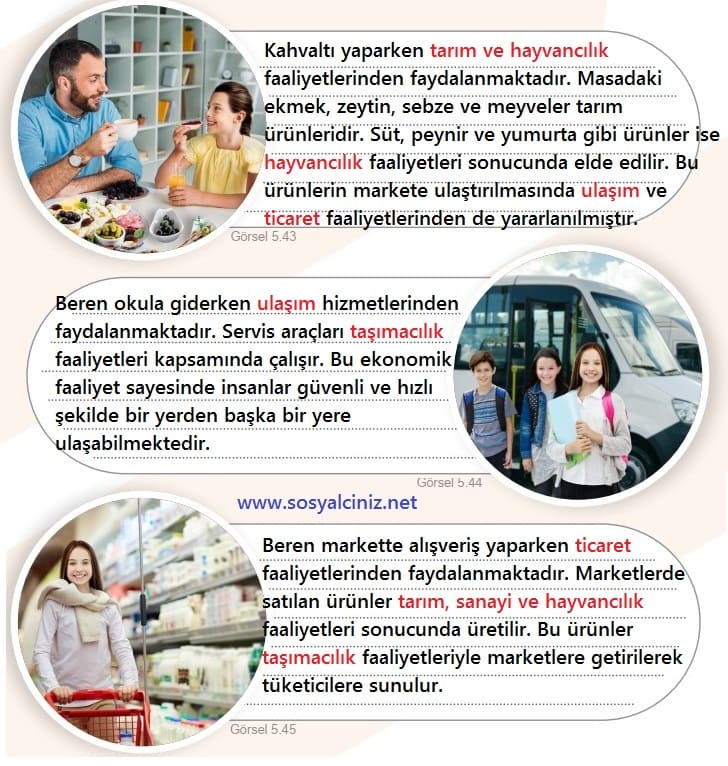 5.Sınıf Sosyal Bilgiler Öğrenelim Etkinliği Sayfa 102